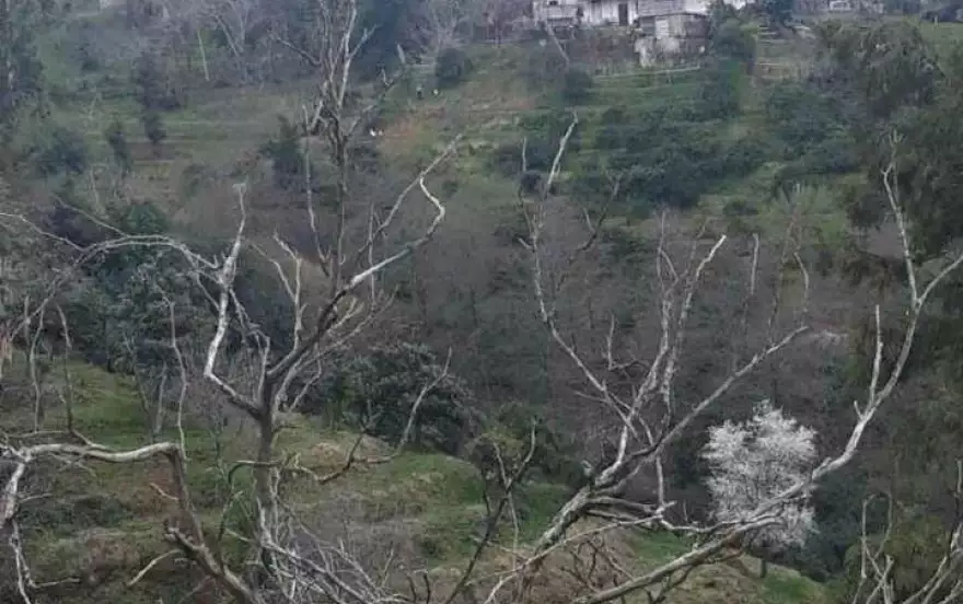 село Цихисдзири