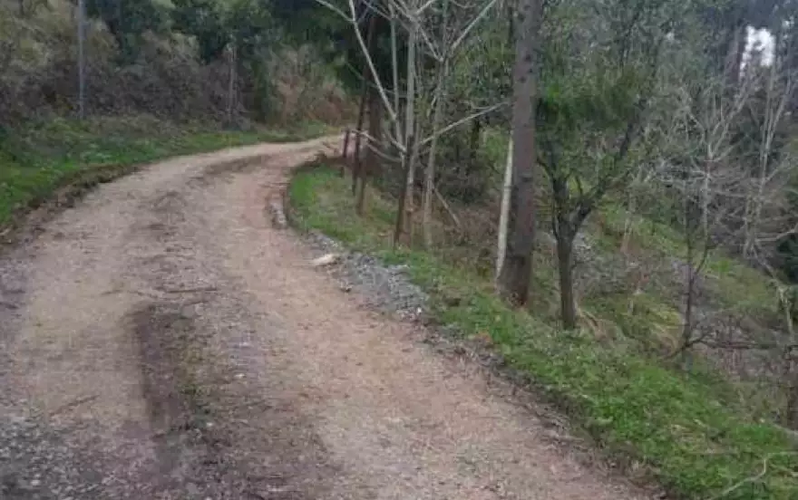 село Цихисдзири