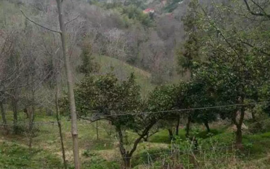 село Цихисдзири