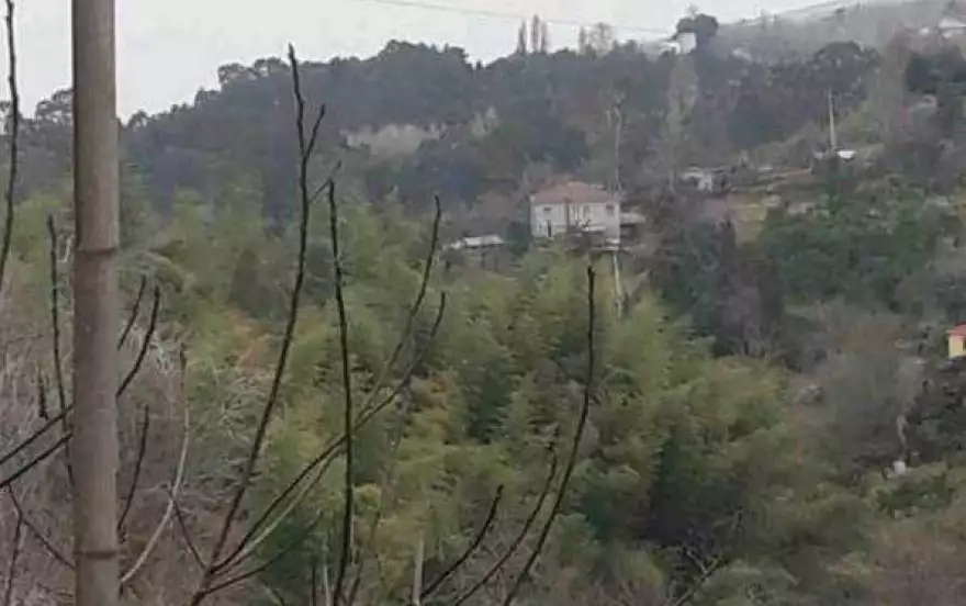 село Цихисдзири