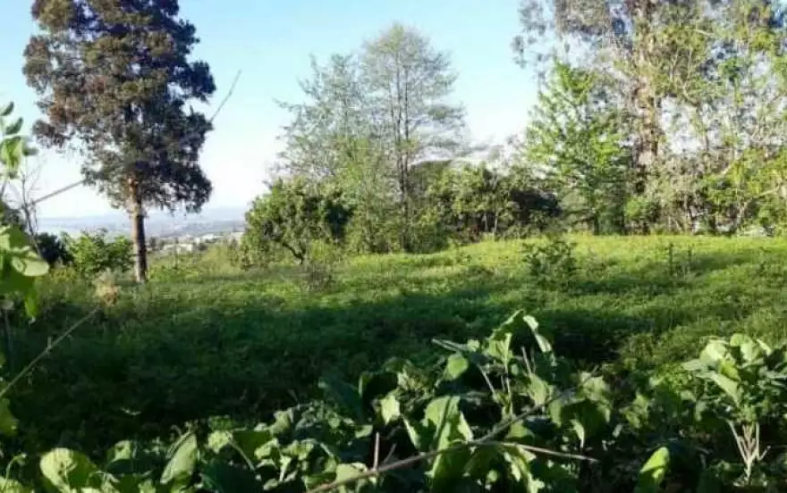 село Цихисдзири