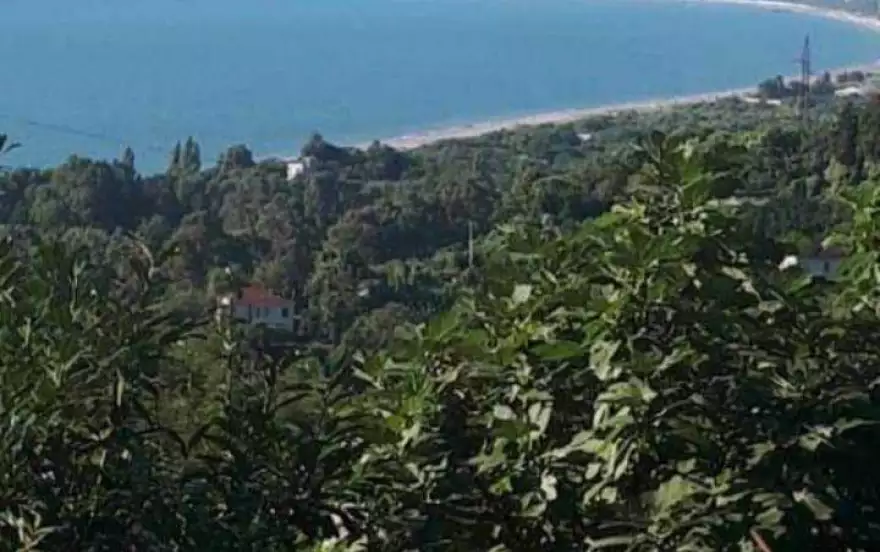 село Цихисдзири