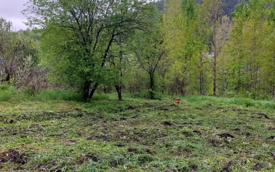 СНТ Горизонт, 401