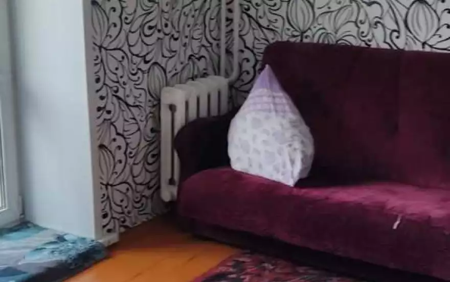 Пешеходная улица, 5