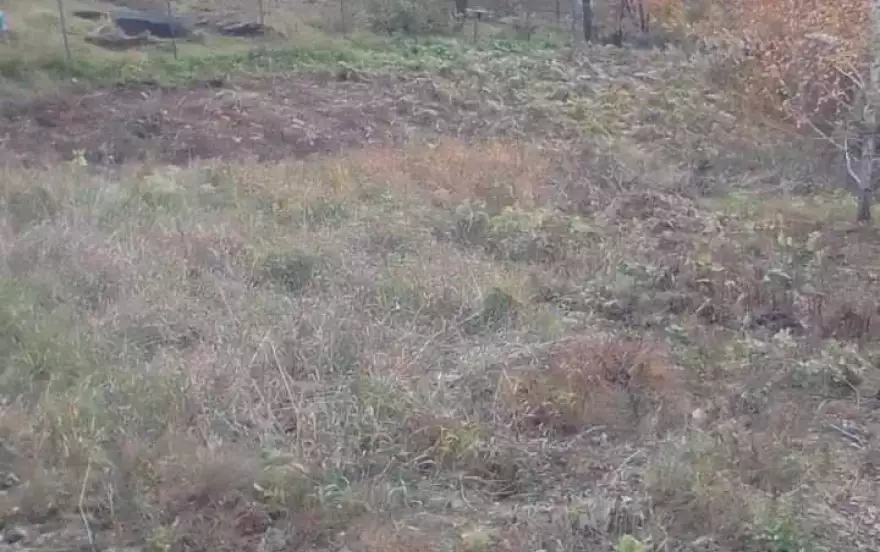 посёлок Солонцы, СНТ Успех-2