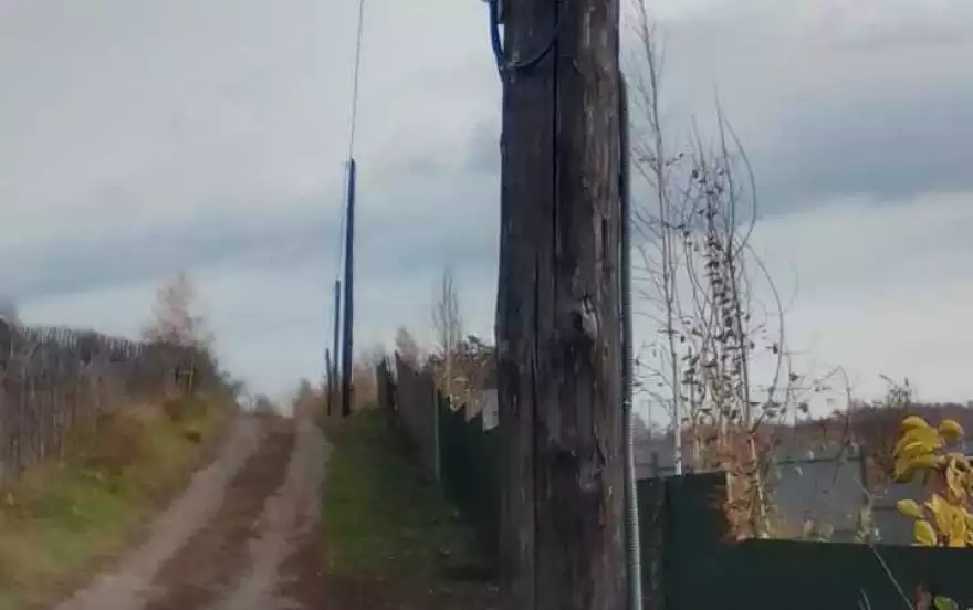 посёлок Солонцы, СНТ Успех-2