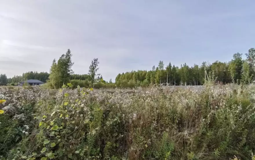 ул Знаменская