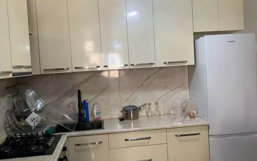 შალვა ინასარიძის 8