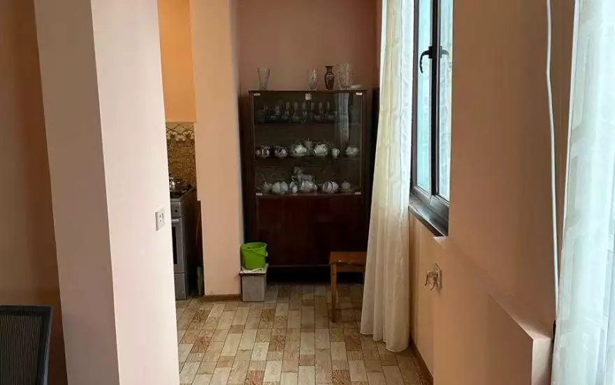 შალვა ინასარიძის 1