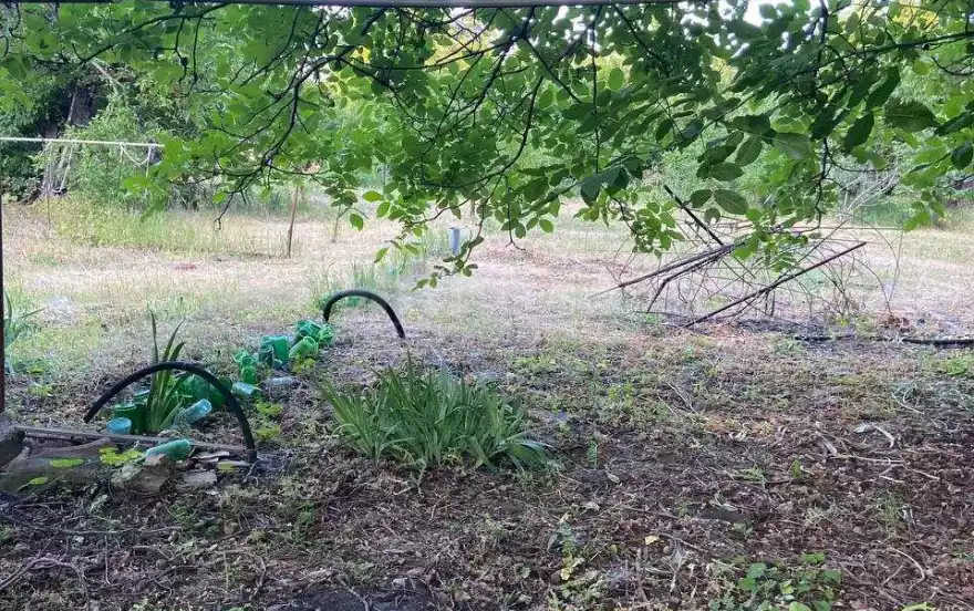 улица Маяковского