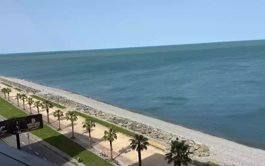 ლეხ და მარია კაჩინსკების ქუჩა 19