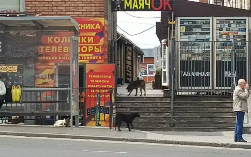 проспект Металлургов, 64