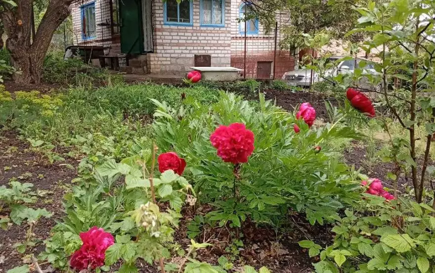 СНТ Заря, 12