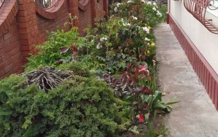 улица Бакинская, 80