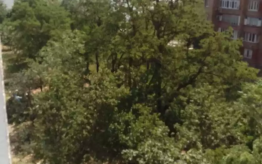 бульвар Комсомольский, 550