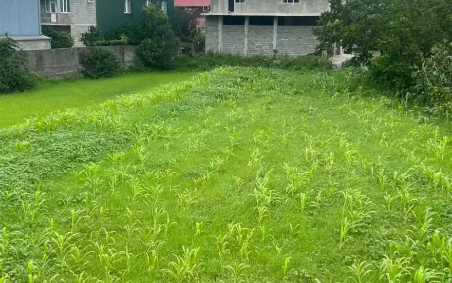 აკაკი შანიძის ქუჩა მე-3 ჩიხი, #61