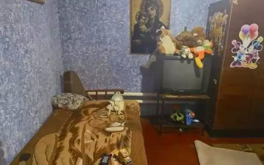 Лутугинский район,п.Ленина ЛНР