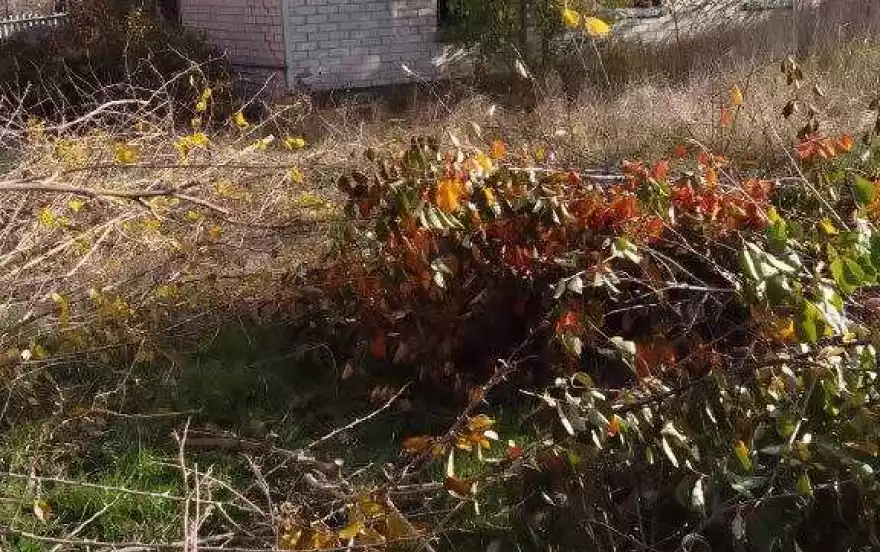 переулок Кавказский, 107