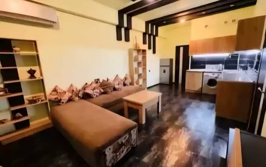 ул. Аргишти, 11