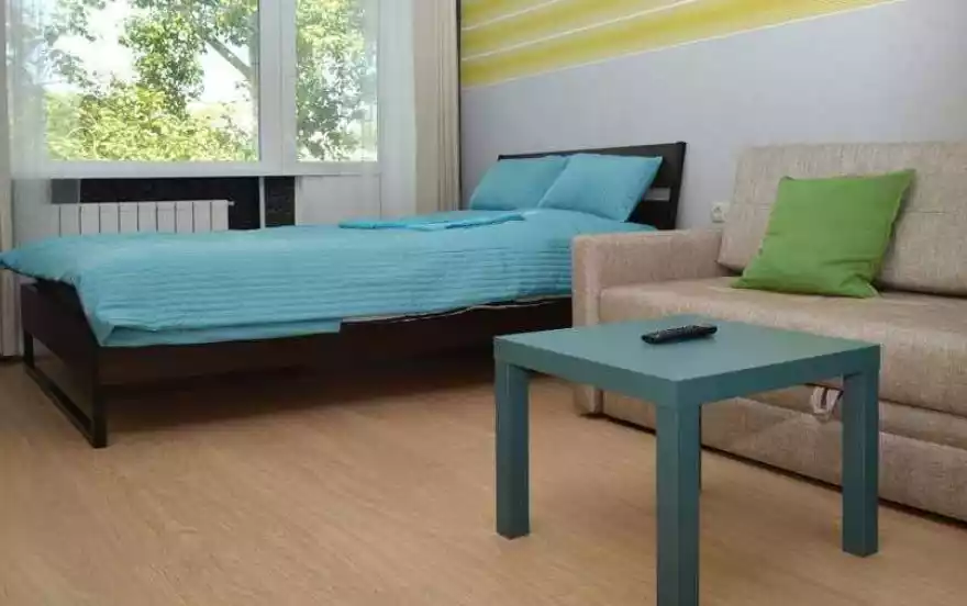 улица Елизаровых, 43