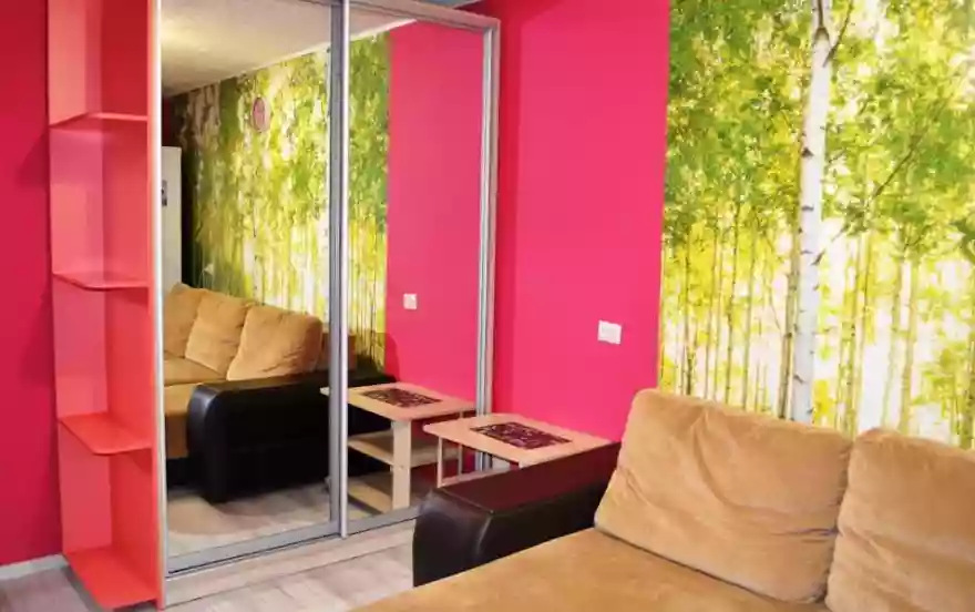 улица Сони Кривой, 47