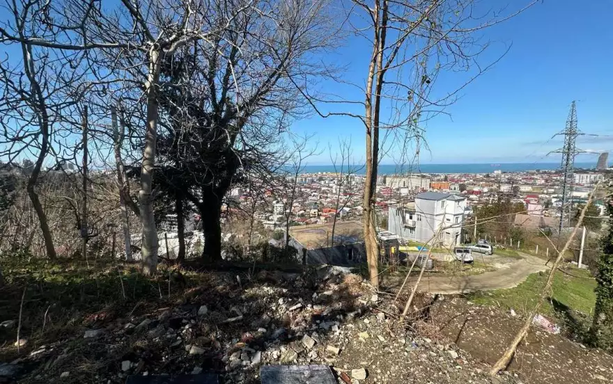 სერგეი მესხის ქუჩა 12