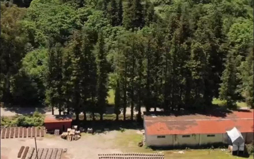 ჩაისუბანი 1
