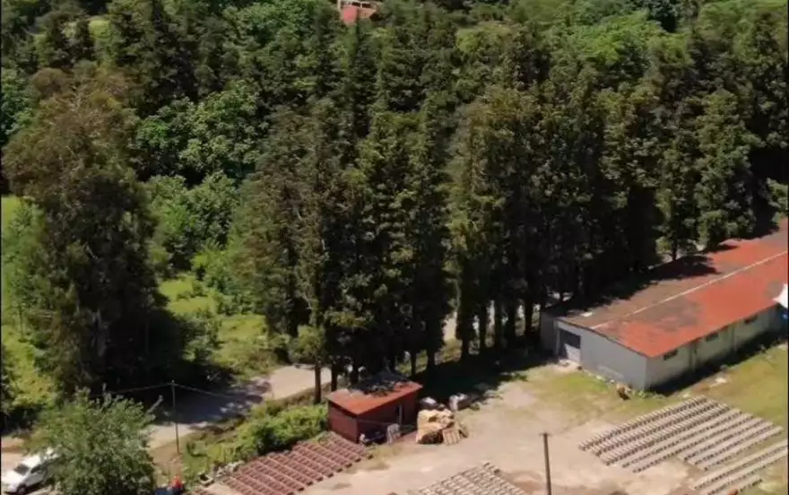 ჩაისუბანი 1
