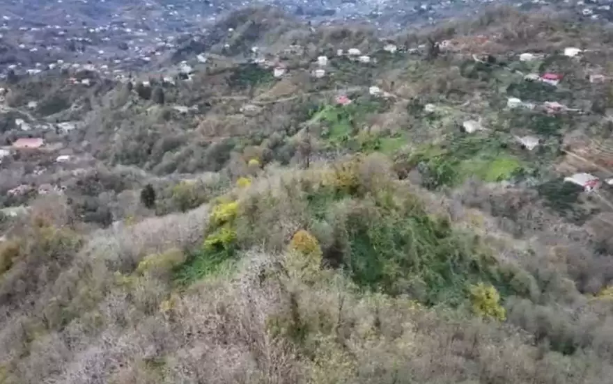 ყოროლისთავი 1