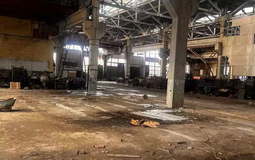 улица Цимлянская