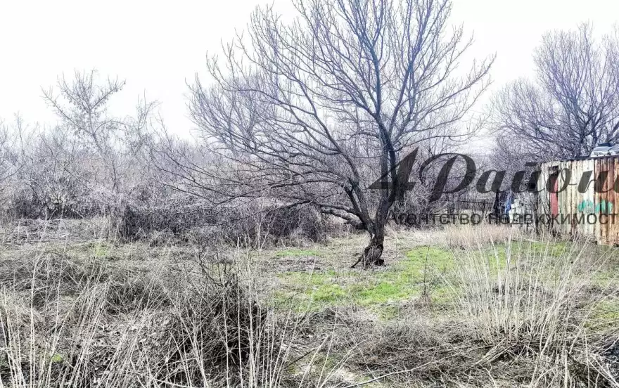 село Веселая Тарасовка, ул. Советская
