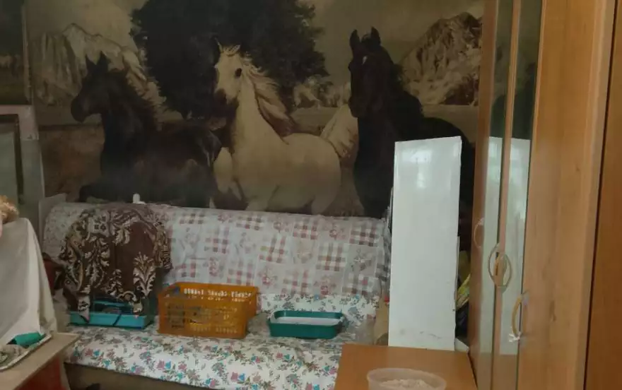 улица Рязанская, 31