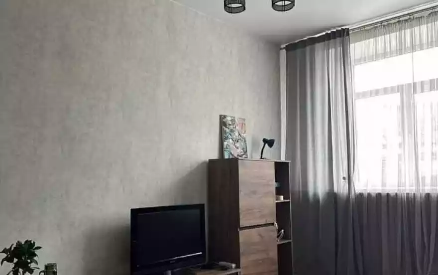 Елизаровых ул, 51