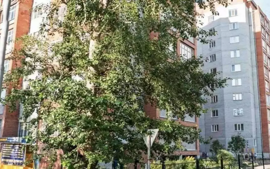 Транспортная ул, 7