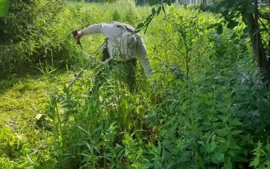 СНТ Восток, 3