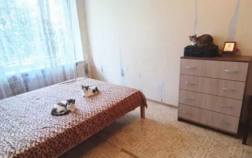 улица Пархоменко, 5