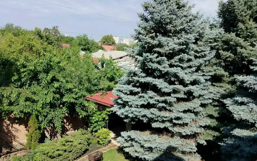 улица Ширшова
