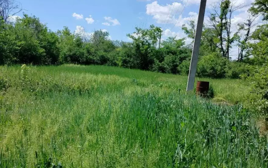 Веселая Тарасовка