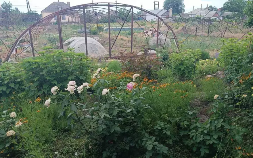 улица Советская