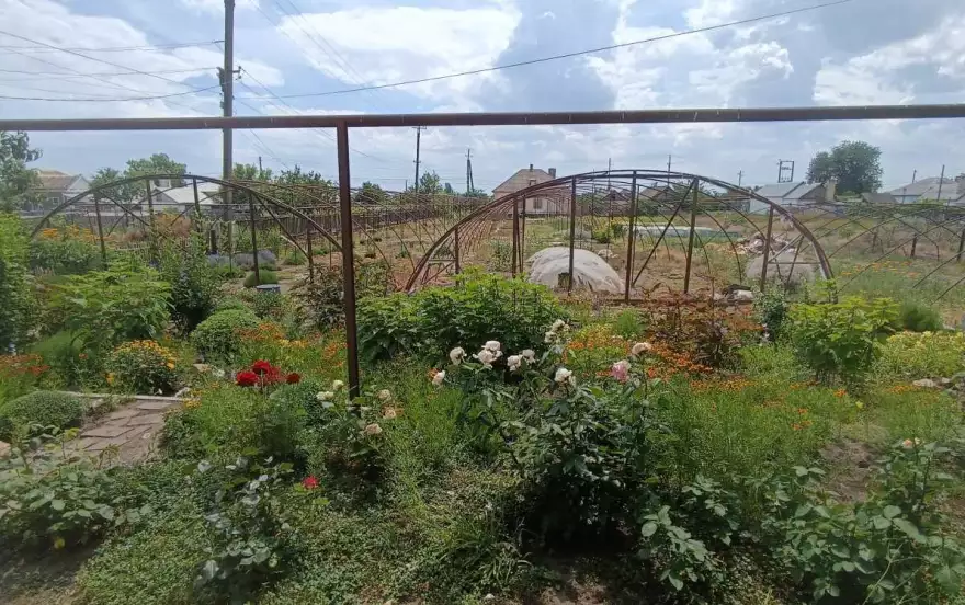 улица Советская