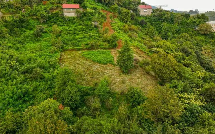 ზედა აჭყვა 1