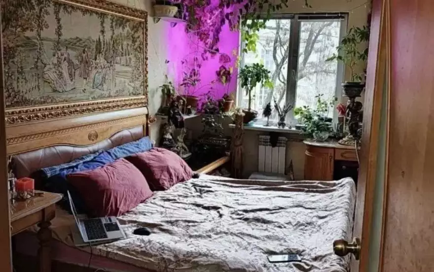 квартал Гаевого