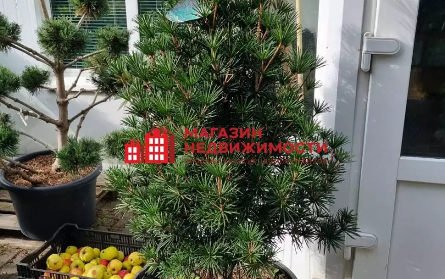 улица Молодая