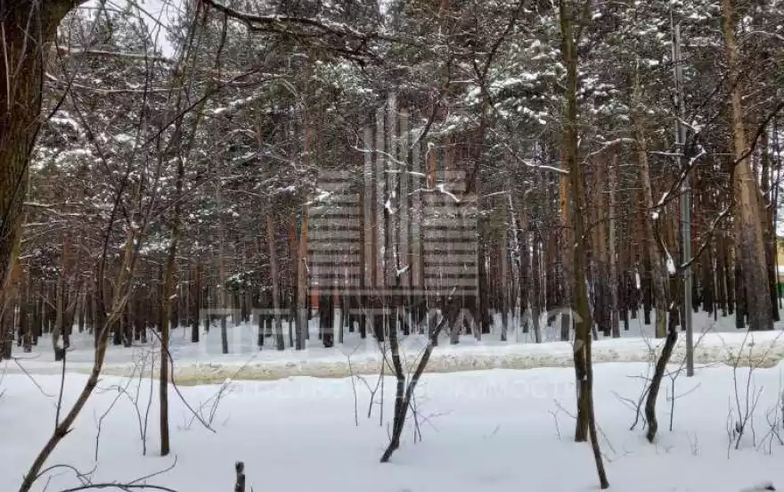 Судогодское ш., 19