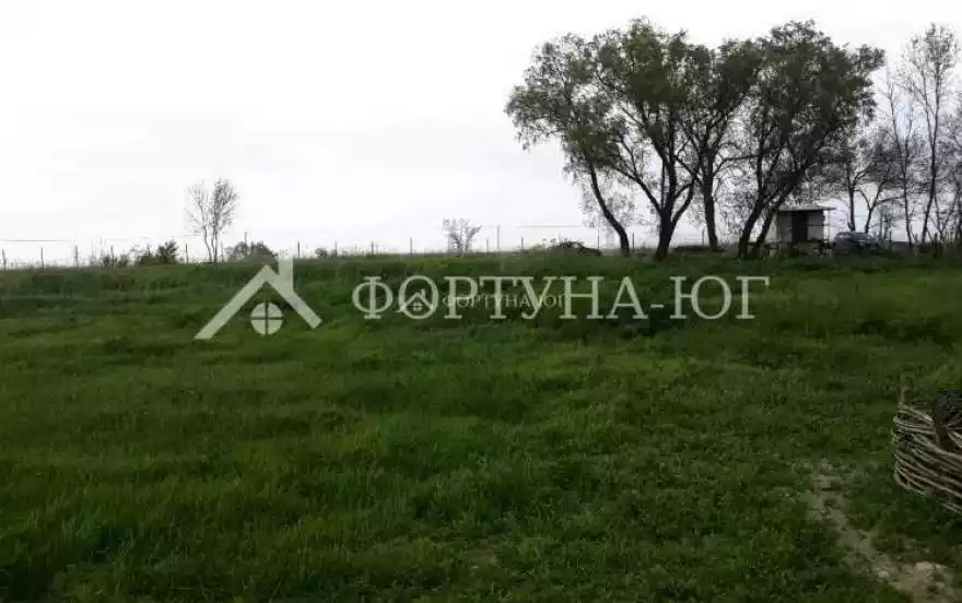 Центральная улица