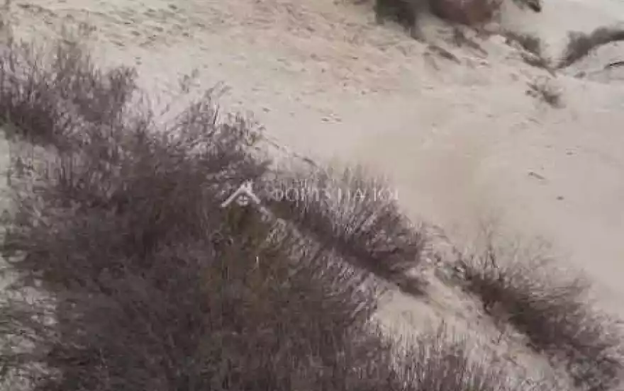 Пионерский проспект, 25