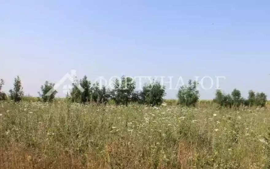 Грушовая улица