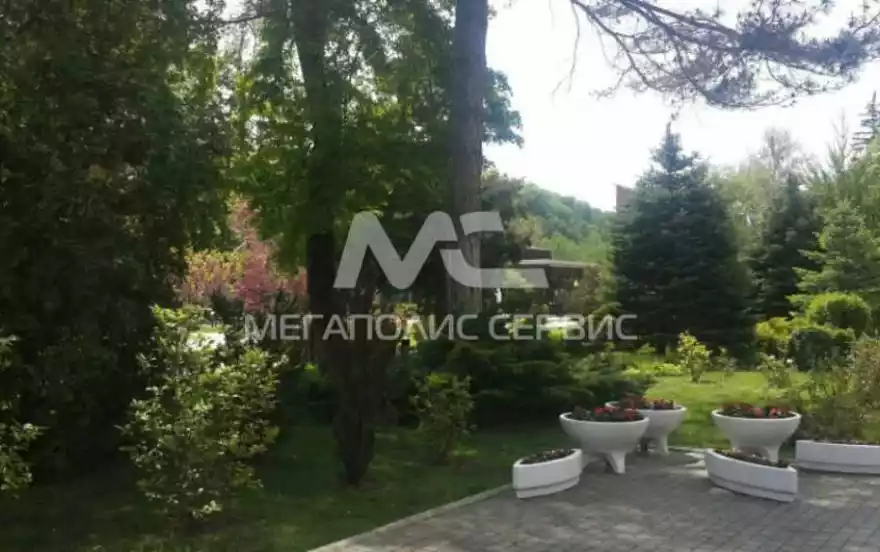 Тараника улица