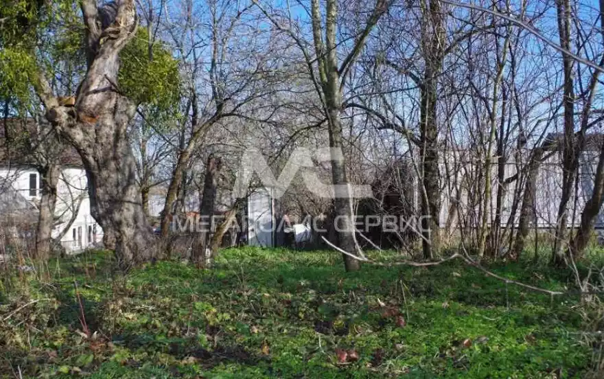 Черняховского улица