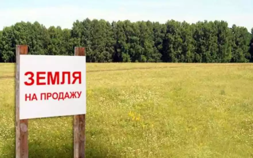 Луговая улица, -